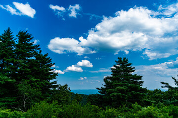 Misty Trail Overlook on Blue Ridge Parkway