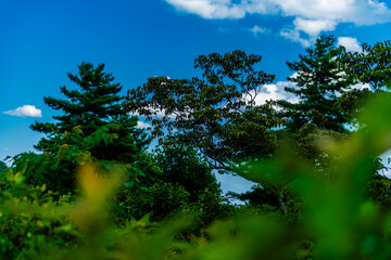 Misty Trail Overlook on Blue Ridge Parkway