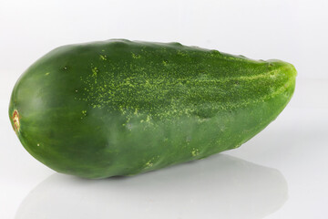 A green cucumber on a white background.