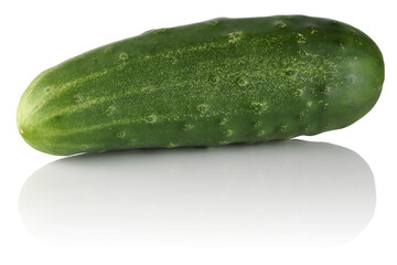 A green fresh and delicious cucumber