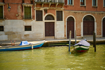 Venice and its canals, boats,sculptures and birds. 