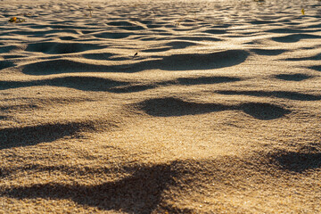 Ripples of sand shaped by wind and light at the shoreline.