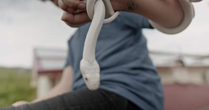 An albino pet snake being held by her smiling owner.