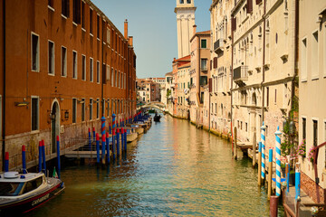 Venice and its buildings,canals,gondolas,and sculptures,birds