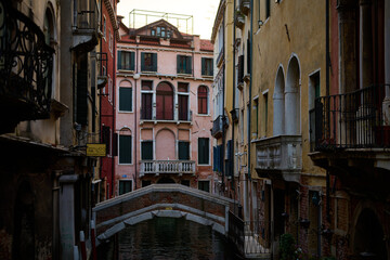 Venice and it's gondolas , canals , birds and streets