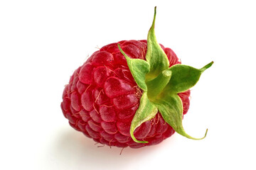 red bright juicy raspberry berry with green stalk isolated on white background © OneBit