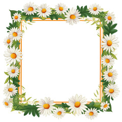 Obraz premium Decorative Daisy Flower Frame Border With Green Leaves On Transparent Background