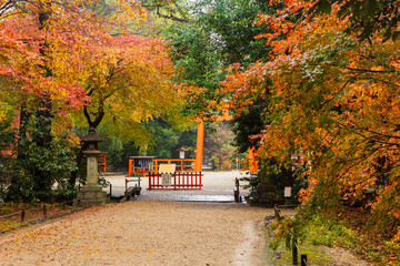 Obraz premium 日本の風景・秋 雨の京都 紅葉の糺の森