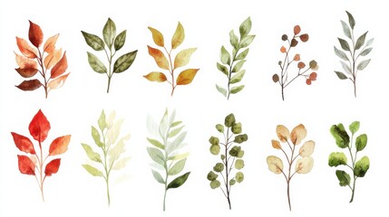Obraz premium A variety of hand-drawn green leaf botanical illustrations - herbarium