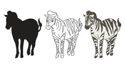 Zebra drawing