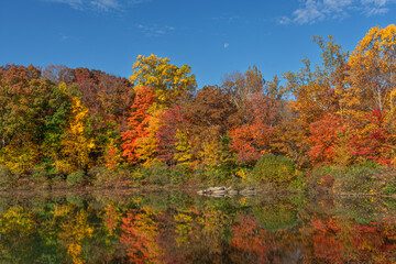 Fototapeta premium Autumn Day Moon