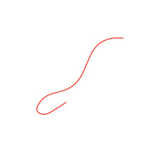 red thread vector line