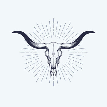Texas longhorn skull vector illustration. Country western bull cattle hand drawn vintage logo design.