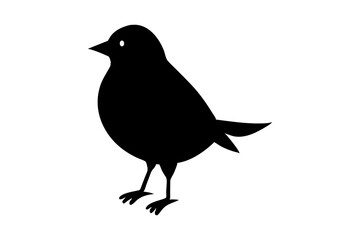 Beautiful Magpie  Bird  vector art and illustration
