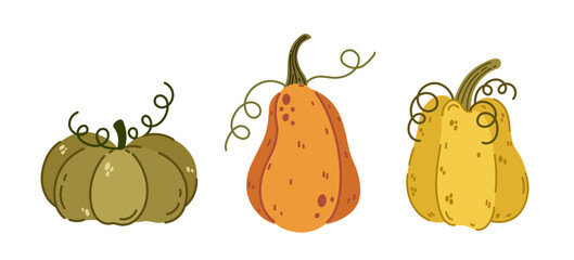 Colorful autumn pumpkins, vector icon set. Ripe farm gourds with curly stems. Festive garden vegetables for Halloween, Thanksgiving, holiday, fall party. Cartoon doodle, hand drawn isolated clipart