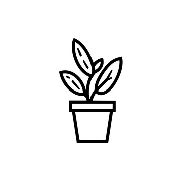 recommend clip art: Outline drawing of a potted plant with three large leaves.