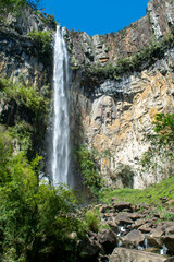 waterfall in the forest
