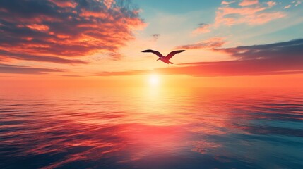 Sun is rising over horizon line with sea view and colorful sky seagull fly for foreground