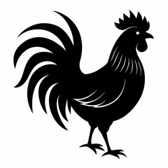 rooster isolated on white