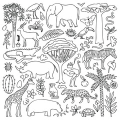 This image features a whimsical illustration of various animals, plants, and natural elements, highlighting biodiversity.