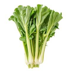 Celtuce isolated on white background. 3D rendering.