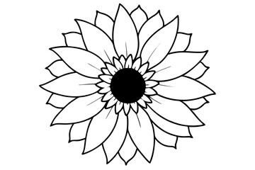 Sunflower, Sunflower outline. Vector illustration.