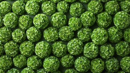 Lush Green Spheres, a vibrant arrangement of spherical shapes made from delicate leaf-like structures, creates a harmonious display of nature’s rich green hues.