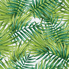 A vibrant pattern of green palm leaves, showcasing a tropical and natural aesthetic suitable for backgrounds or designs.