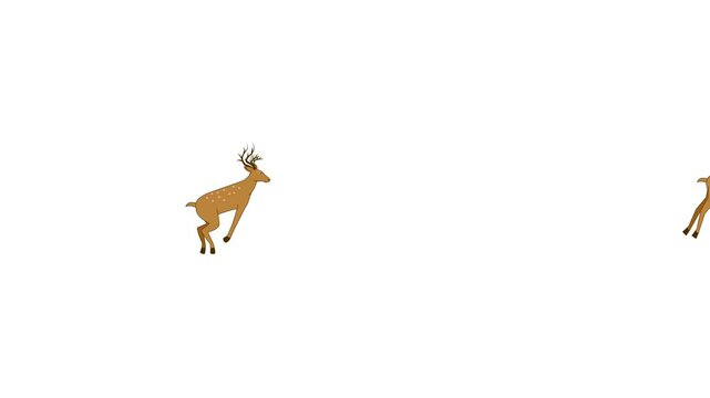 Running reindeer animation