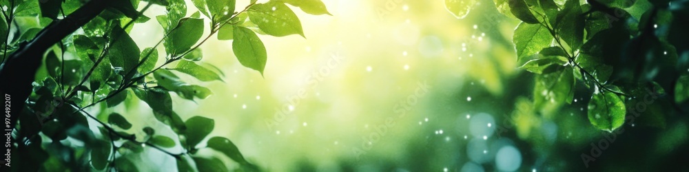 Poster a detailed background banner showcasing a nature-inspired design with lush green foliage and soft li