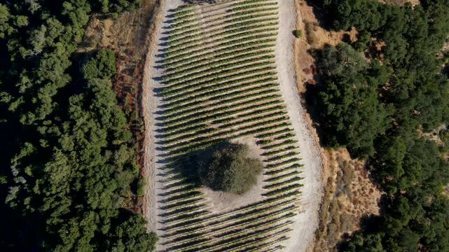 Aerial View of Paso Robles, California Mountains 