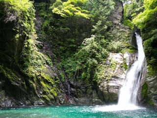 Naklejka premium 滝