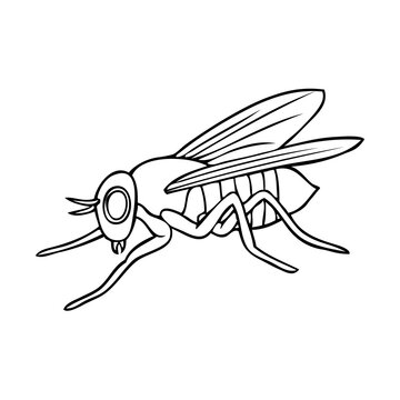 recommend clip art: fly line vector illustration
