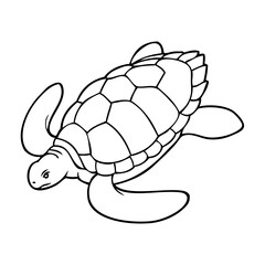 turtle outline vector illustration