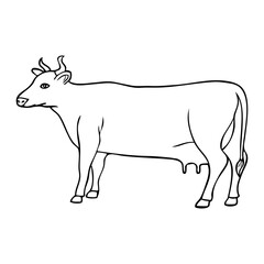 cow line vector illustration