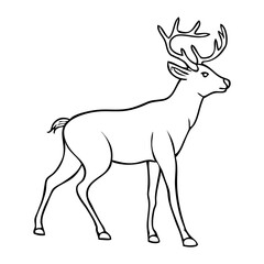 deer line vector illustration