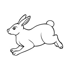 rabbit line vector illustration