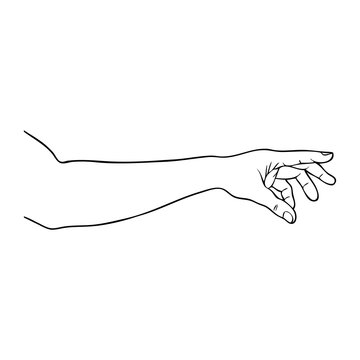 hand line vector illustration