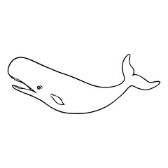 sperm whale line vector illustration