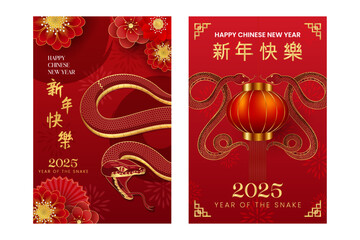 Happy chinese new year 2025 year of the snake vector illustration poster template