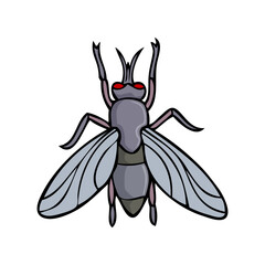 housefly vector illustration