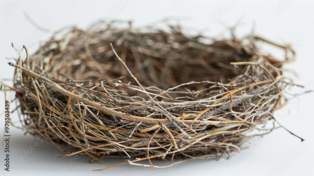 Poster empty bird nest made of twigs