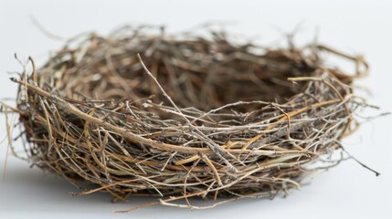 Obraz premium Empty Bird Nest Made of Twigs