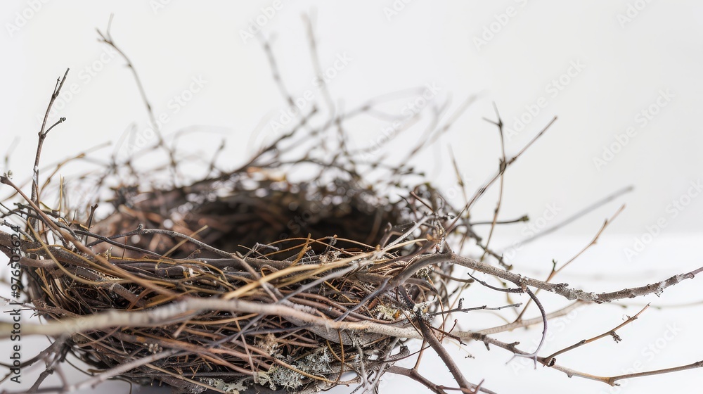 Poster empty bird nest made of twigs