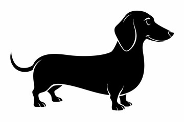 Dachshund dog silhouette, Dachshund icon, Vector black silhouette.