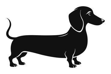 Dachshund dog silhouette, Dachshund icon, Vector black silhouette.