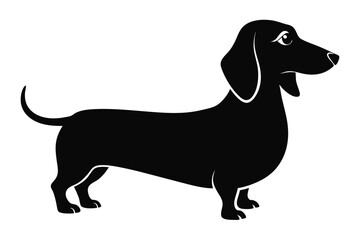 Dachshund dog silhouette, Dachshund icon, Vector black silhouette.