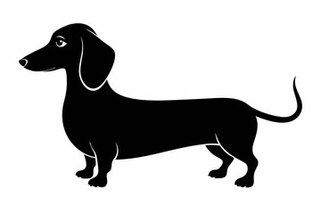 Dachshund dog silhouette, Dachshund icon, Vector black silhouette.