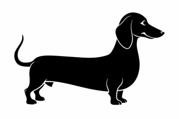 Dachshund dog silhouette, Dachshund icon, Vector black silhouette.