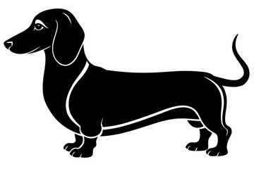 Dachshund dog silhouette, Dachshund icon, Vector black silhouette.